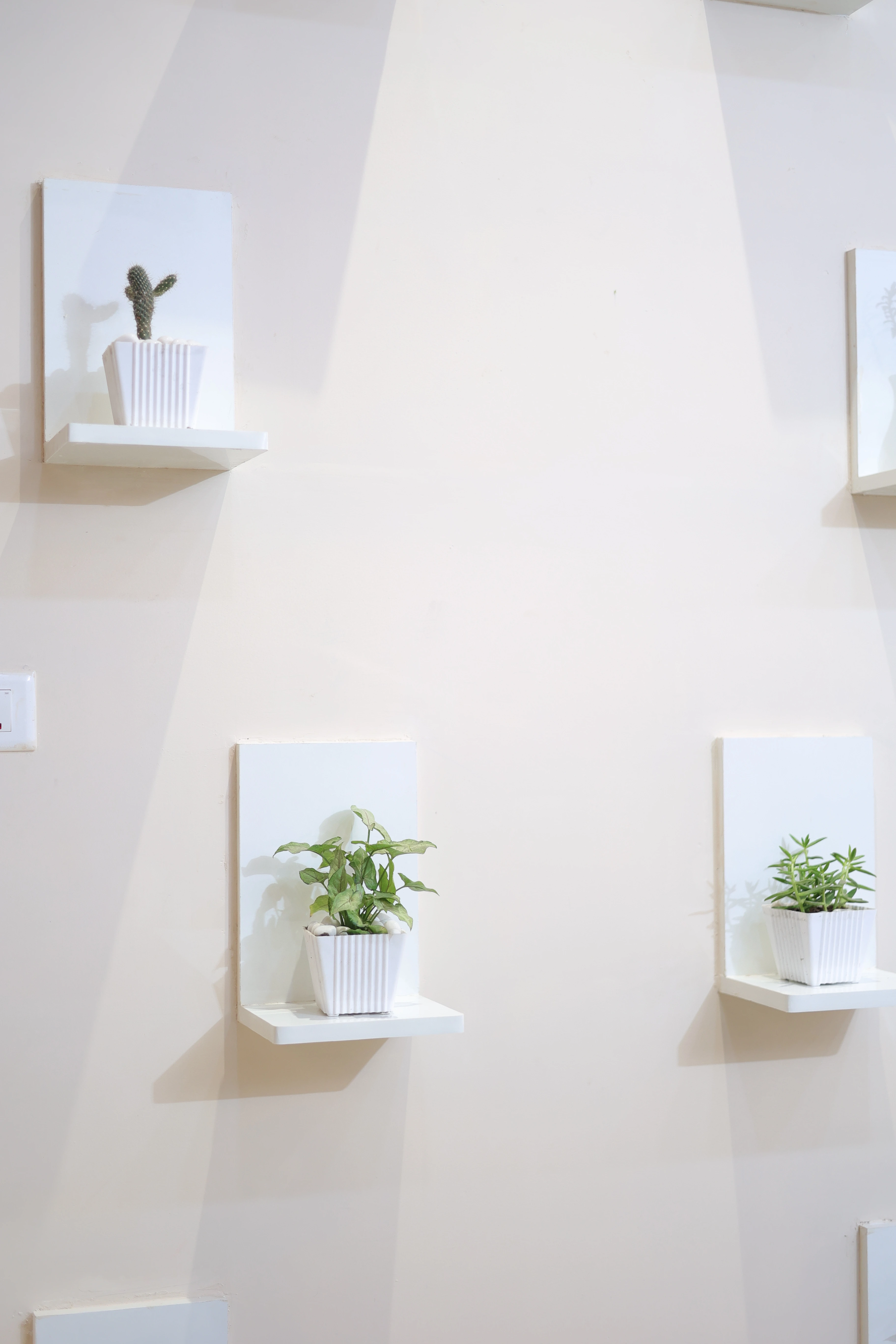 Anti-aging facial Karaikal